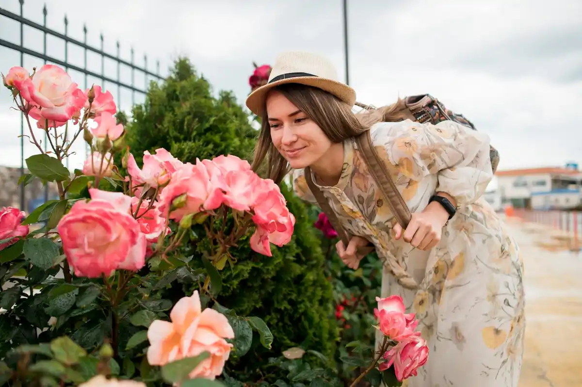 roses blooming home garden sustainable natural
