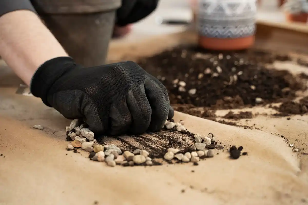 coffee grounds compost horticulture