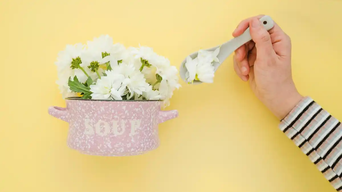 kitchen teaspoon gardening hands tulips netherlands
