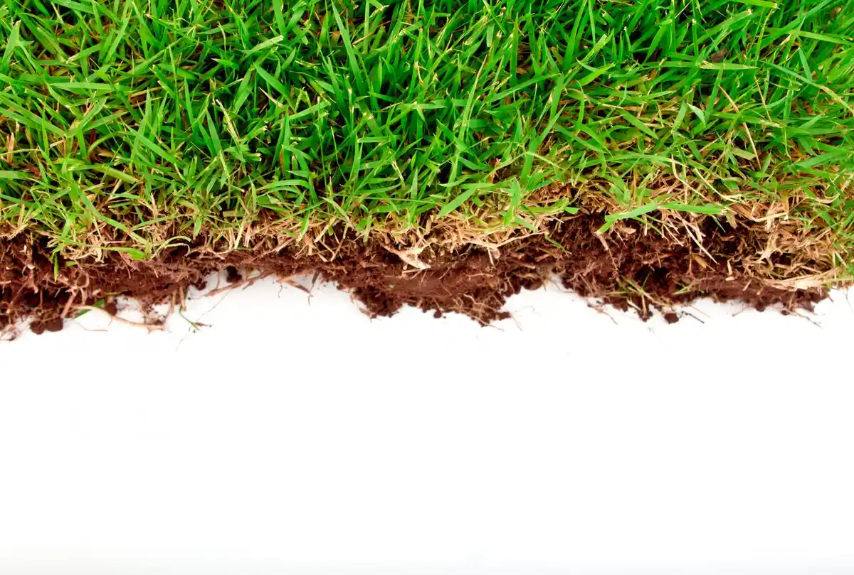 lawn scarifier damaging soil close up