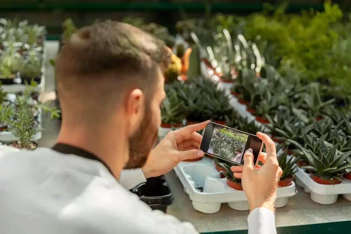 greenhouse sensor technology close-up dutch garden