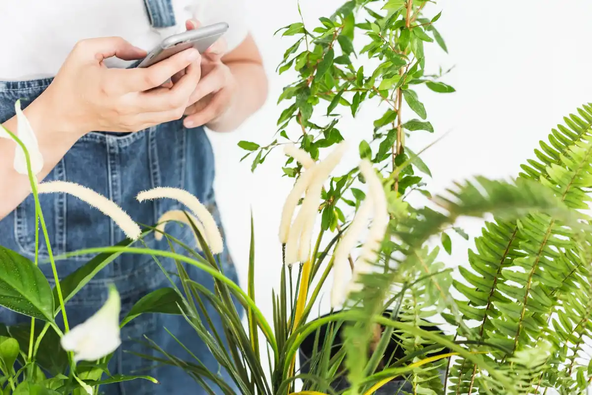 dutch urban gardening smart sensors overview