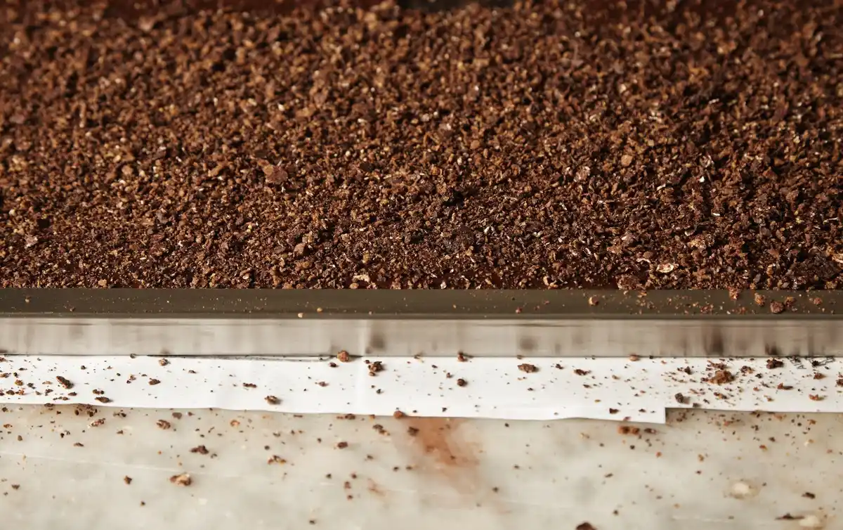 used coffee grounds flower bed