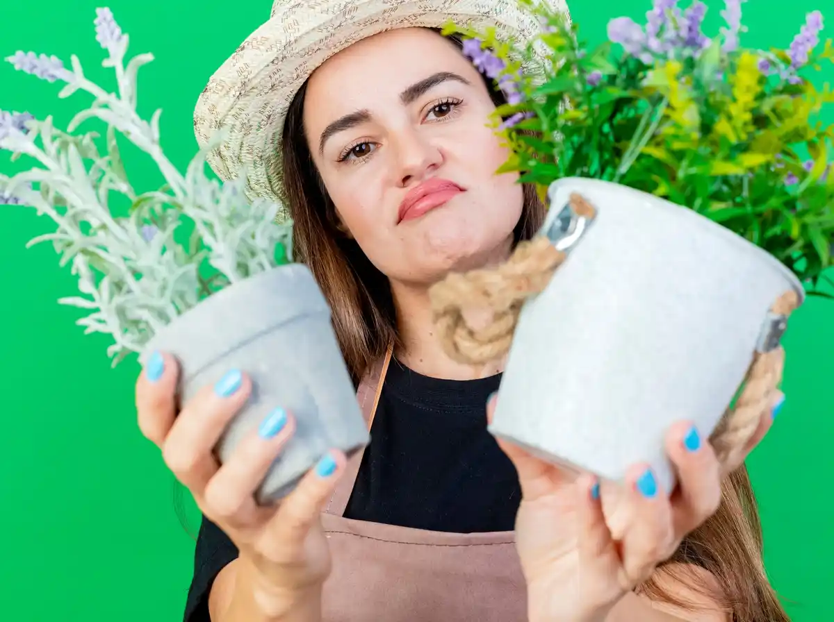 dutch organic garden home remedies