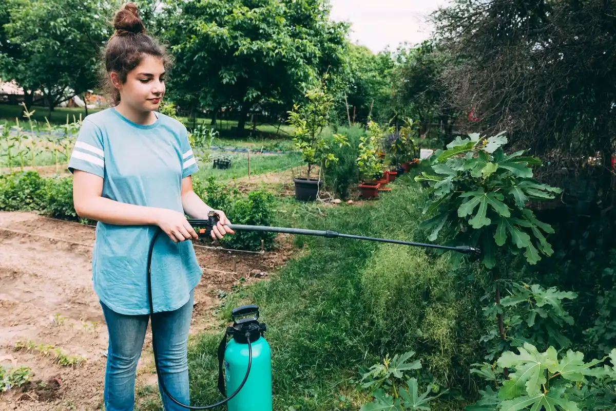 organic pest control Dutch garden