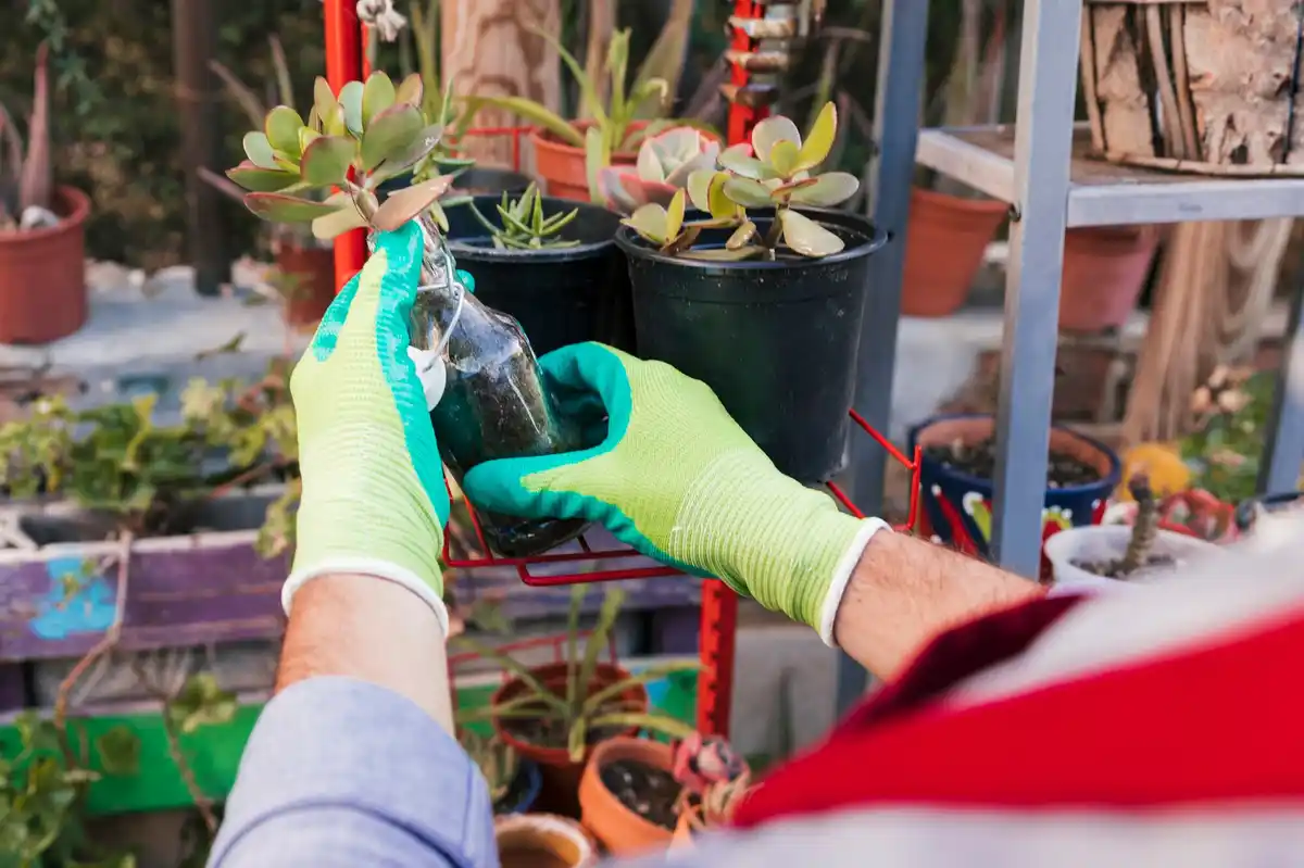 Dutch greenhouse maintenance vaseline tip