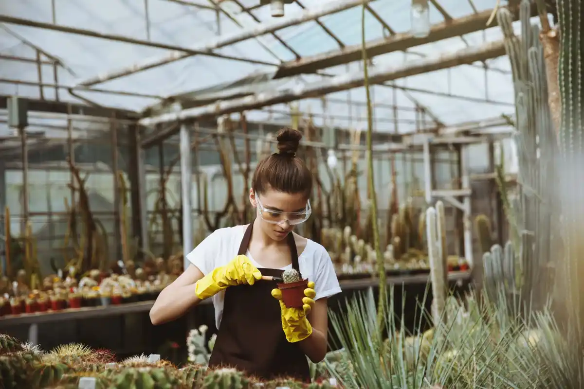 Dutch greenhouse backyard maintenance tip