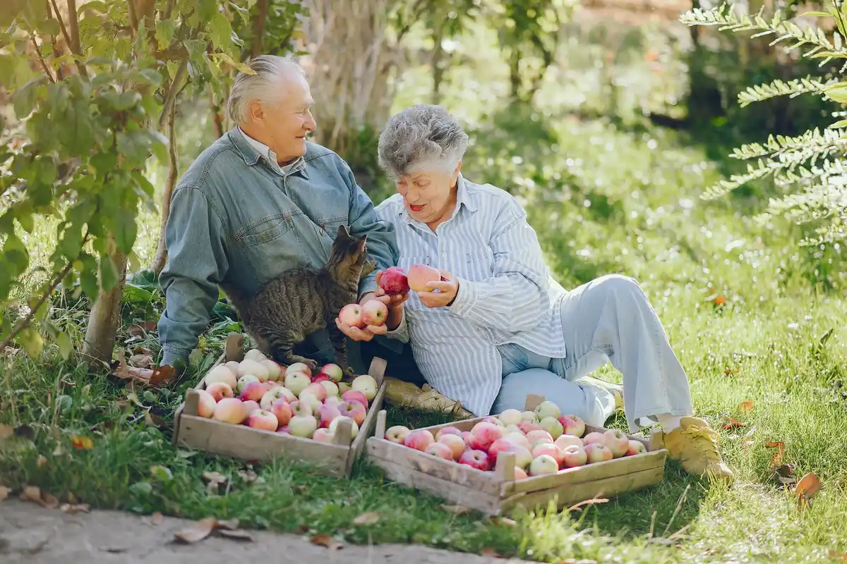 old dutch grandma garden trick apple tree