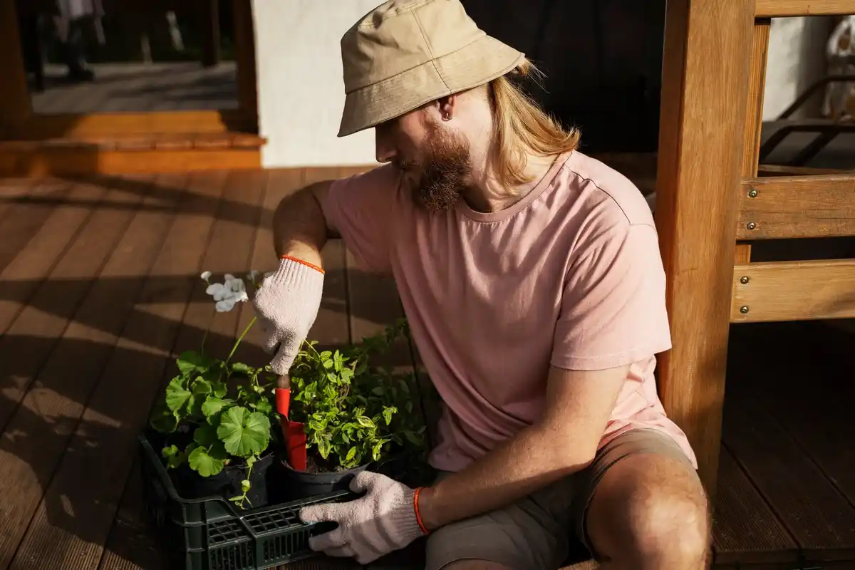dutch gardener biodegradable plant pots greenhouse