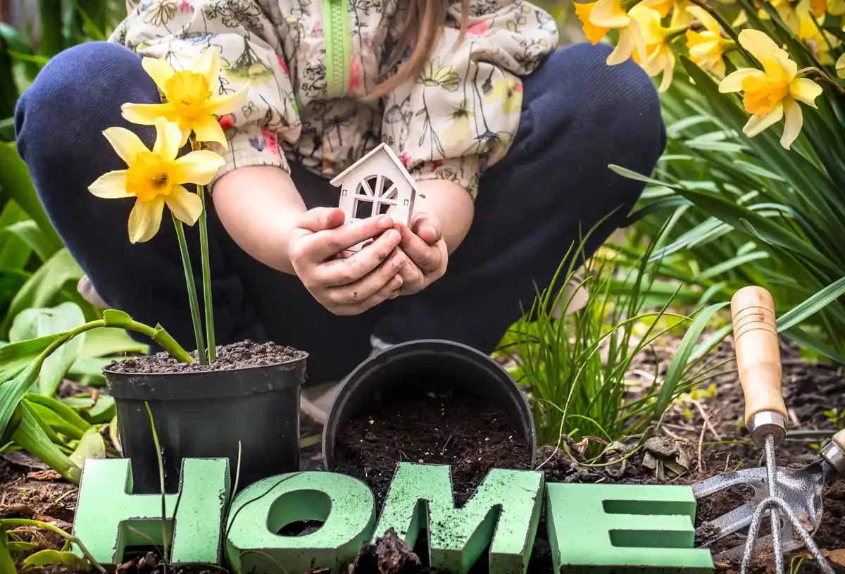 dutch home garden hands planting seeds spring
