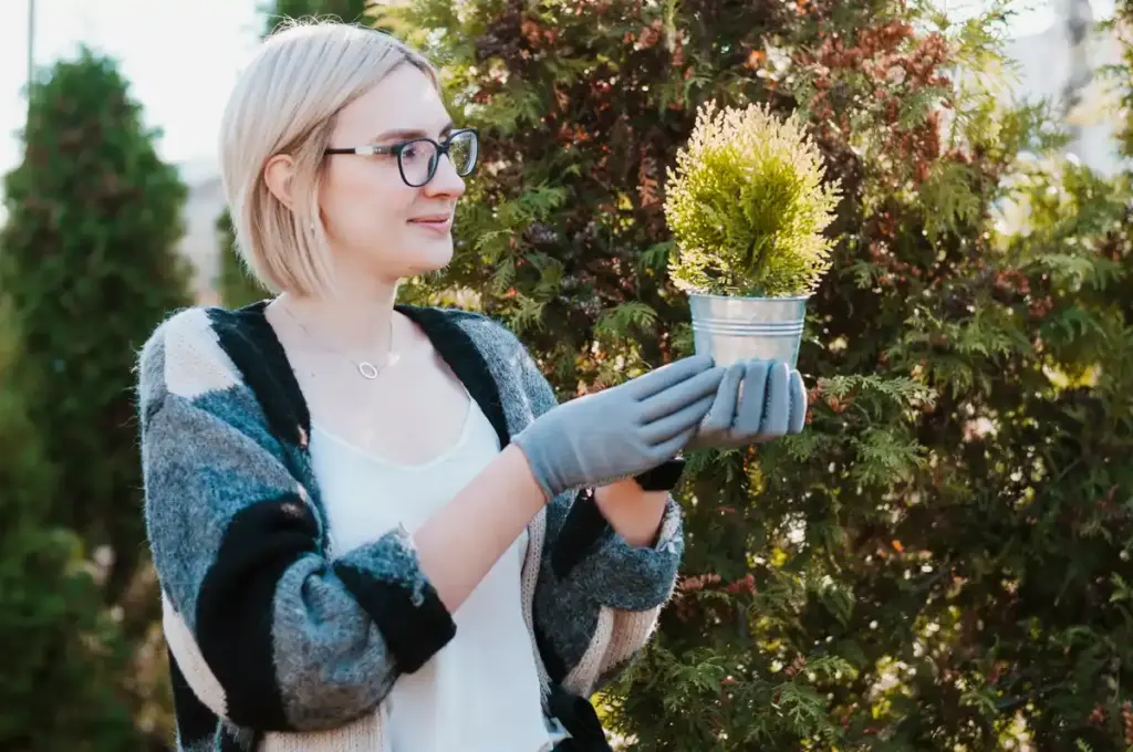 Dutch winter garden beginners mistake dead plants
