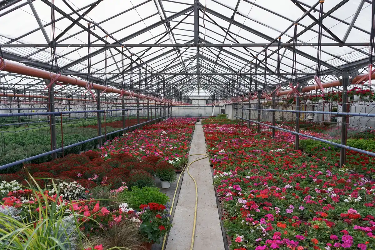 polycarbonate greenhouse netherlands