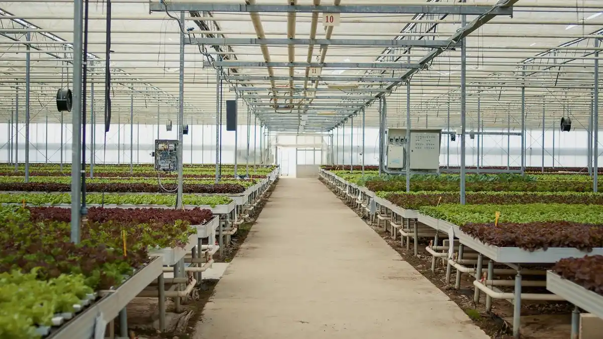 modern dutch garden greenhouse polycarbonate