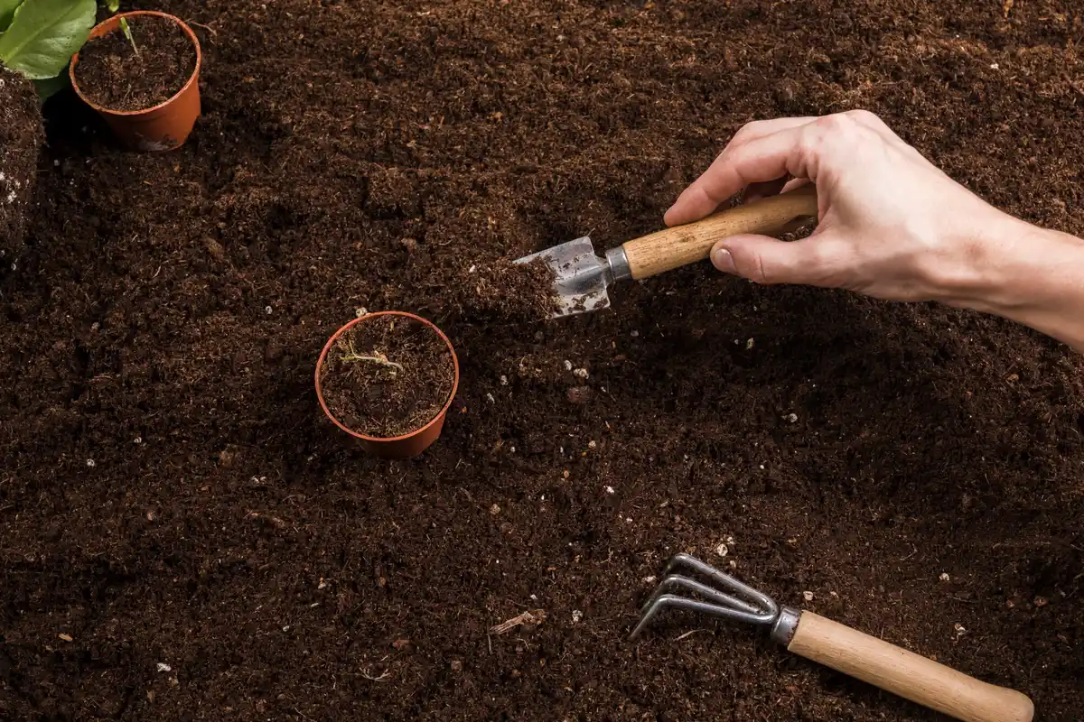 close up soil life compost Dutch garden