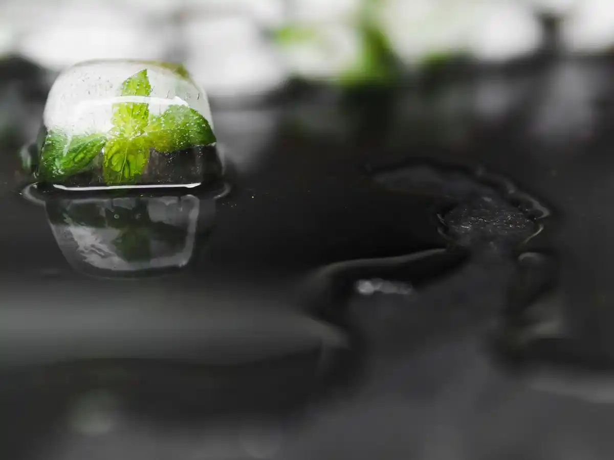 greenhouse overheating problem Netherlands