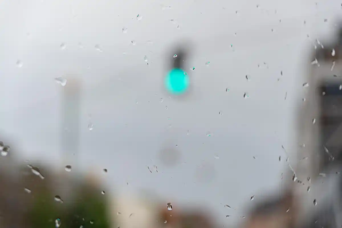 condensation on greenhouse glass