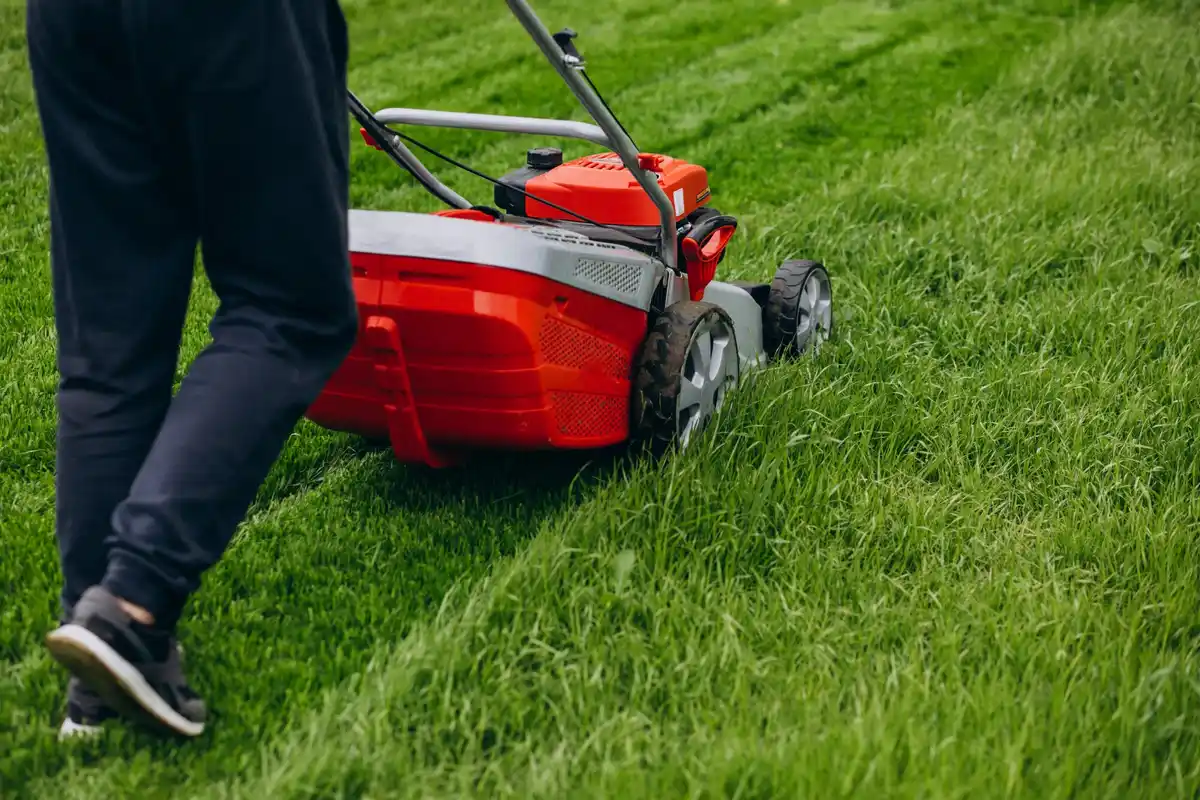 broken lawn mower repair Nederland