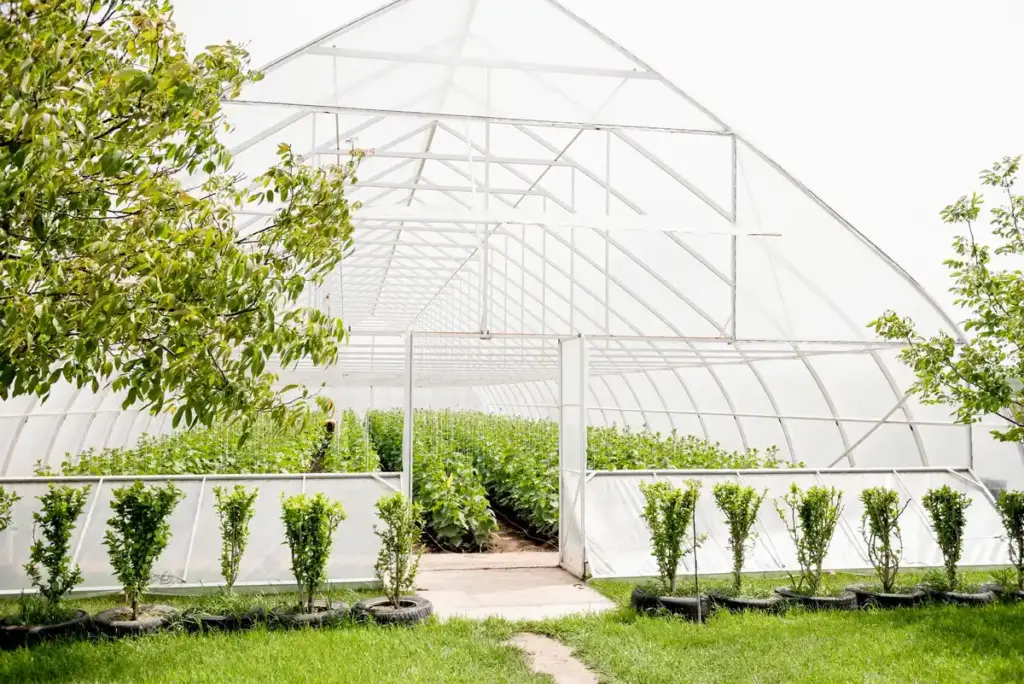 Dutch modular greenhouse backyard