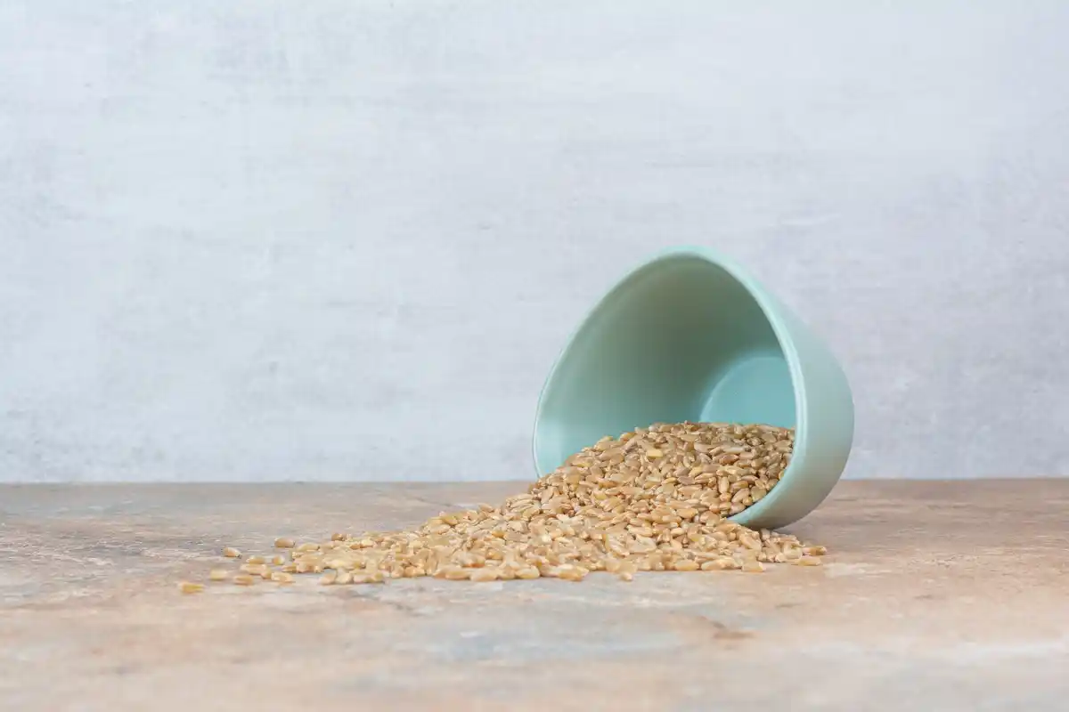 expired seeds in paper packets in kitchen cupboard