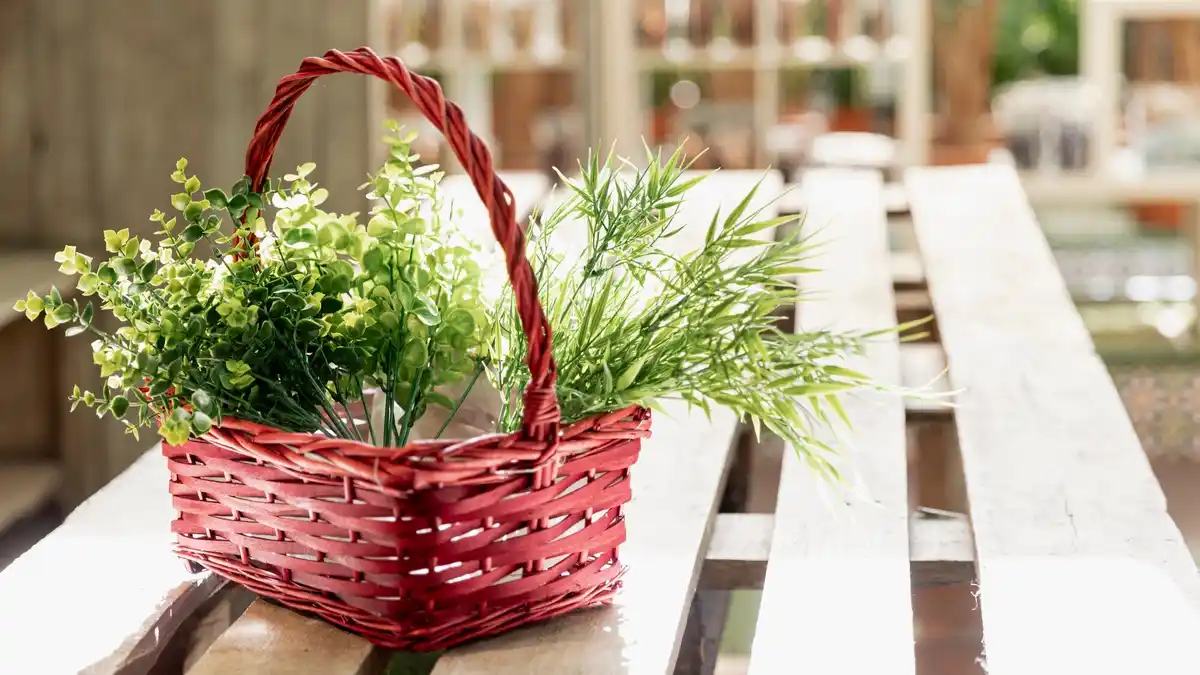 herb garden on Dutch windowsill