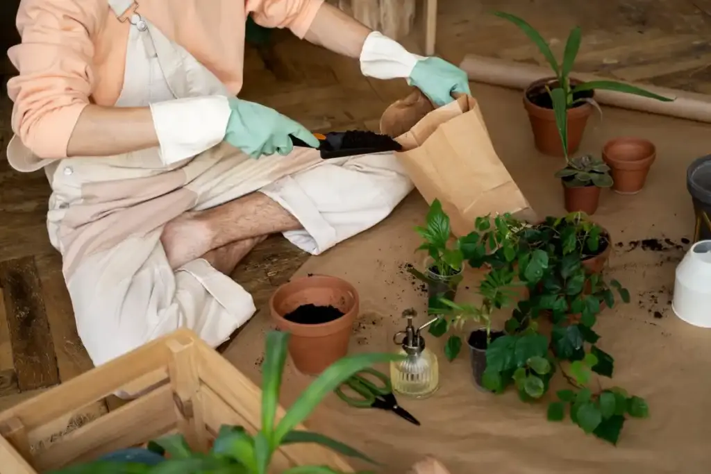 homemade organic plant fertilizer in Dutch garden
