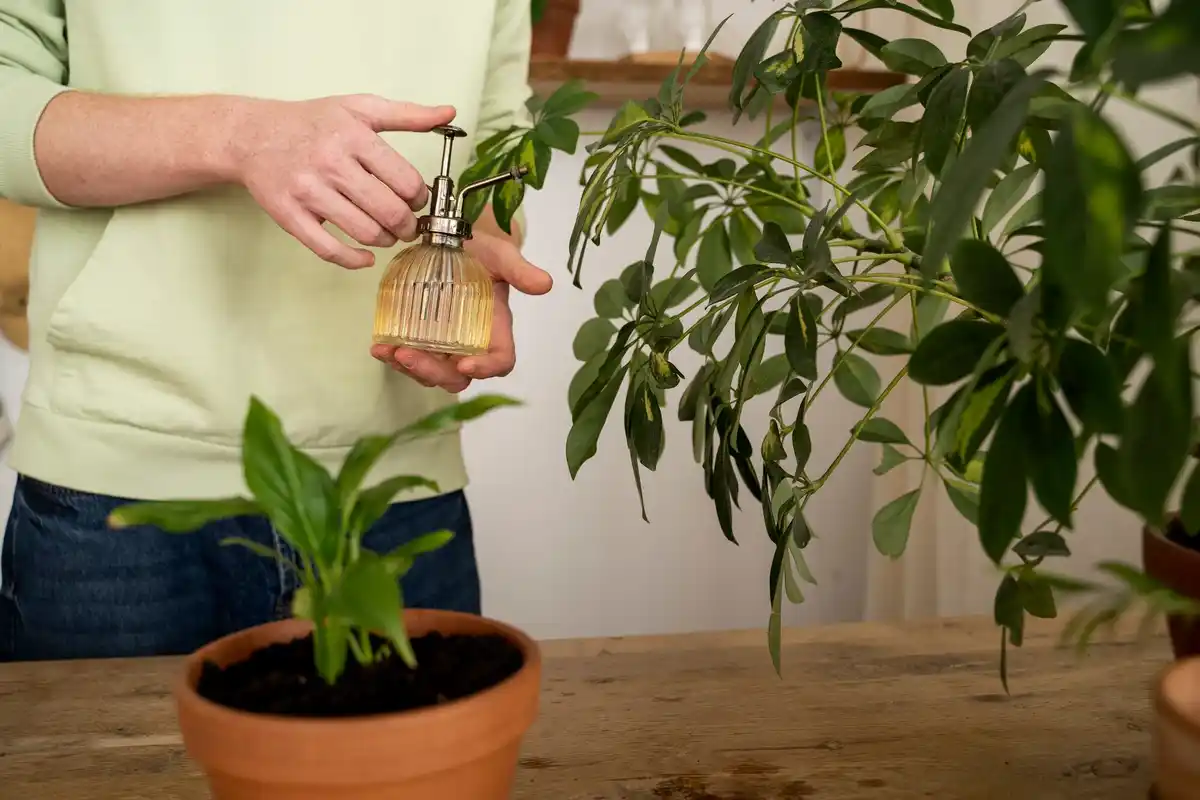 homemade organic fertilizer in glass jar in lush Dutch garden