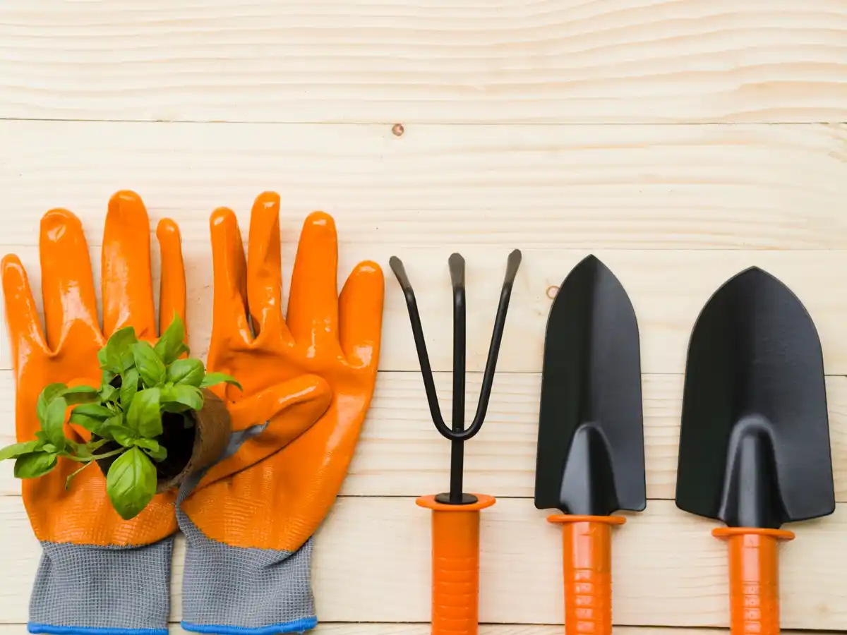 garden tools maintenance Dutch realistic