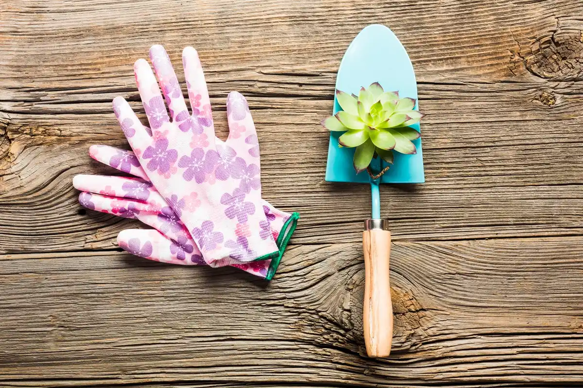 wooden garden tools handle maintenance oil