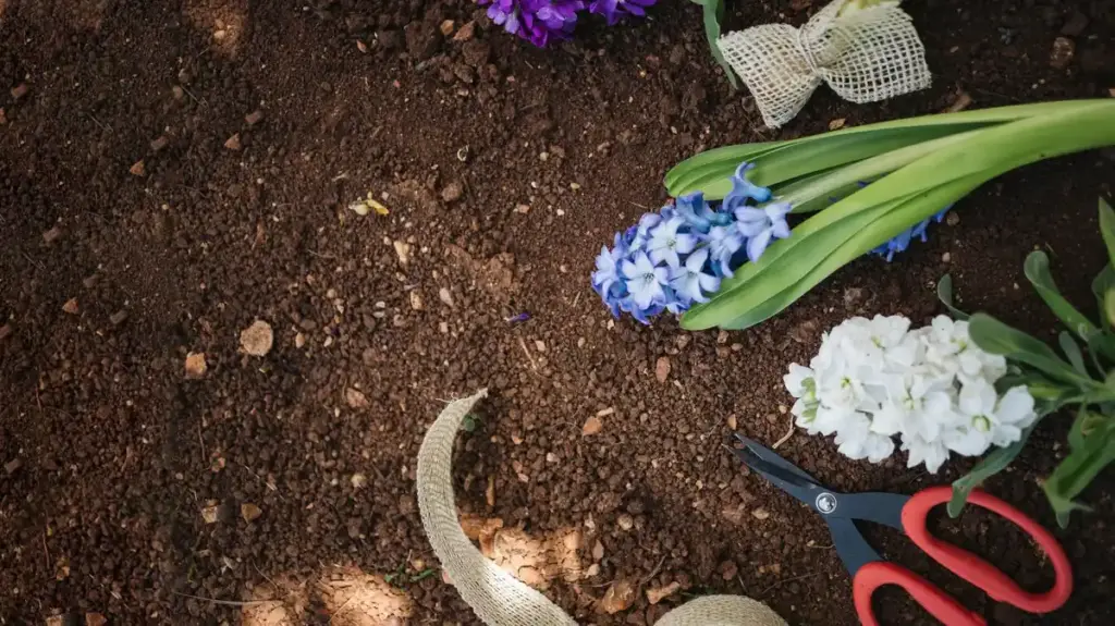 banana peel fertilizer hydrangea garden