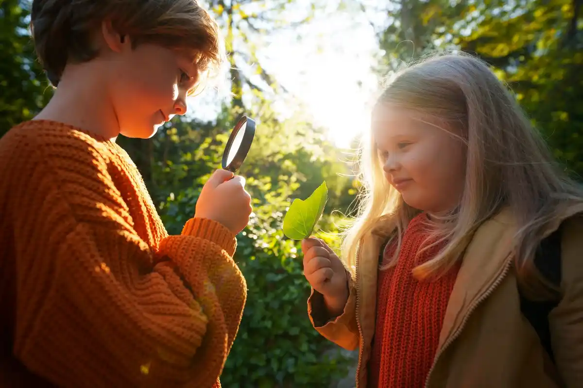 Dutch neighbors exchanging seeds in community garden