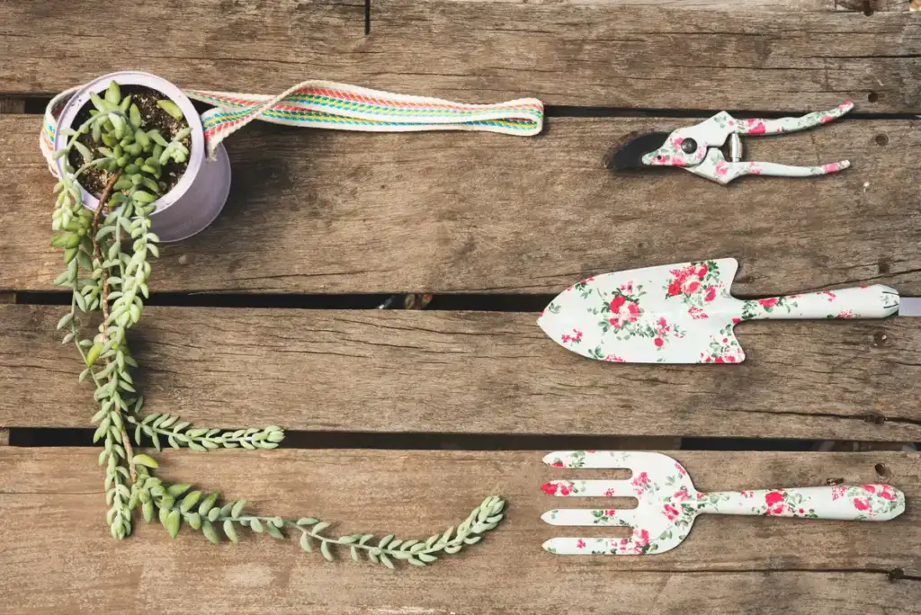 vintage dutch garden hand tools with green plants