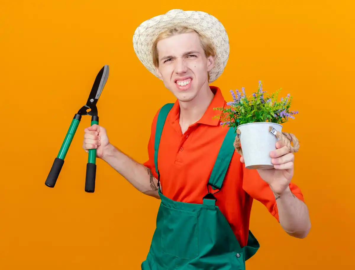 Dutch gardener using classic hand tools in green backyard
