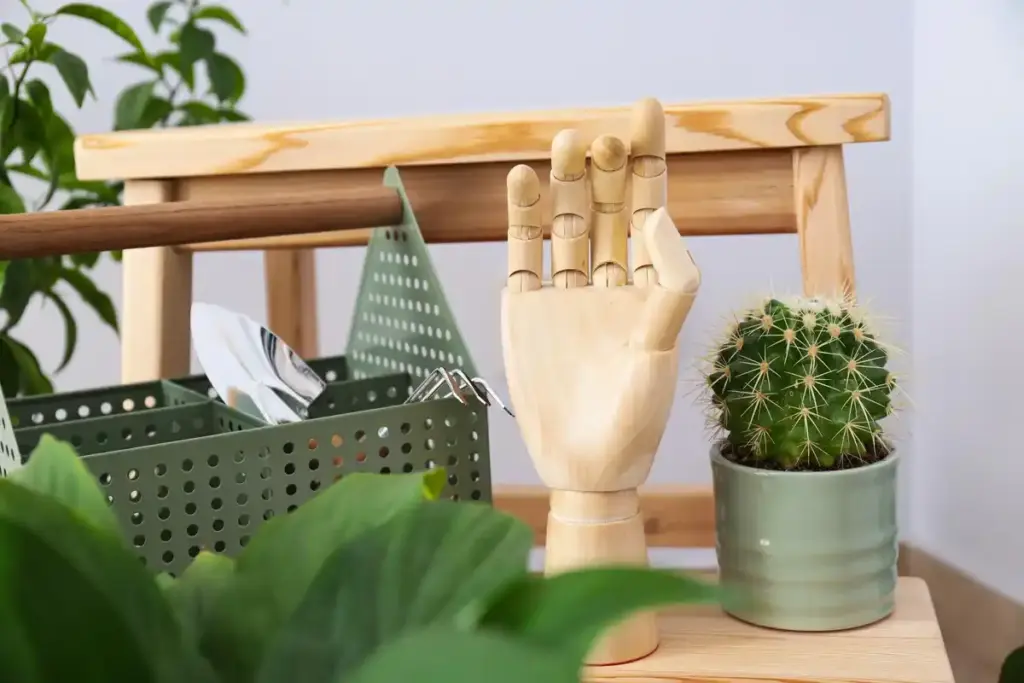 feng shui organized garden tools shed