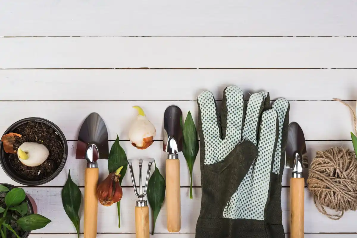 feng shui garden tools organized shed