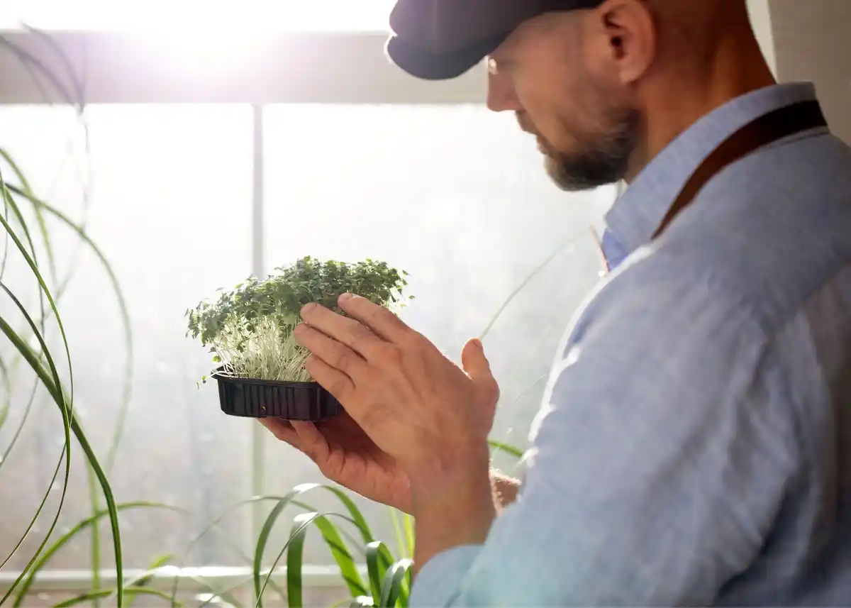 testing seed germination Dutch home