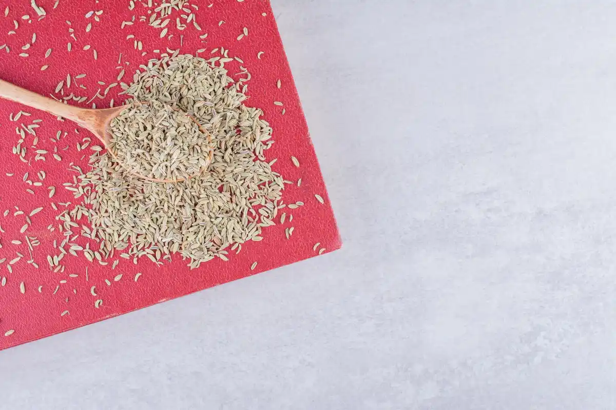 Sprouting seeds on wet paper towel