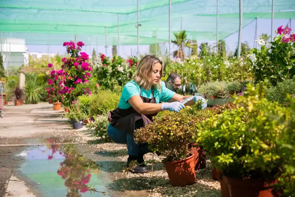 greenhouse for seniors gardening netherlands