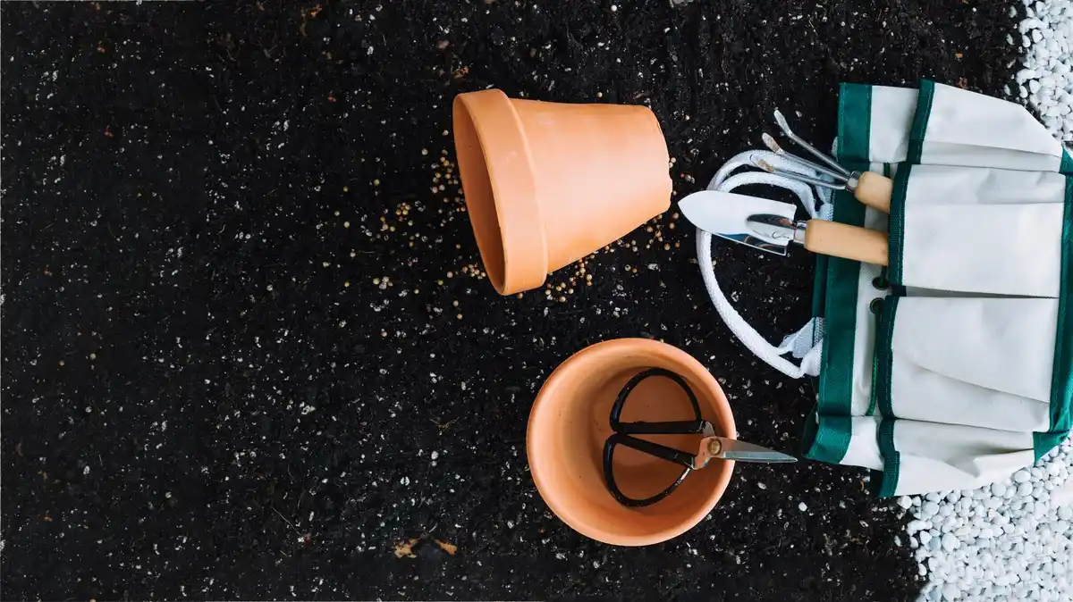 eggshell fertilizer gardening dutch balcony