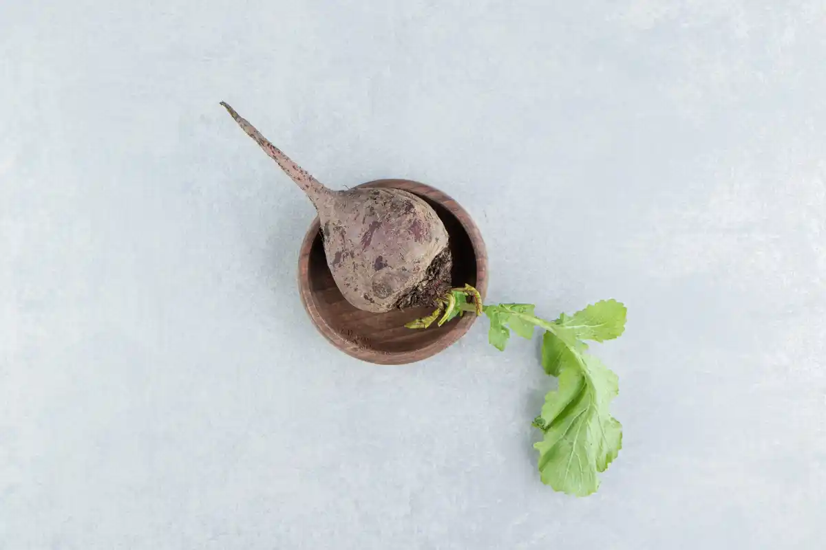 old vegetable seeds sprouting comparison