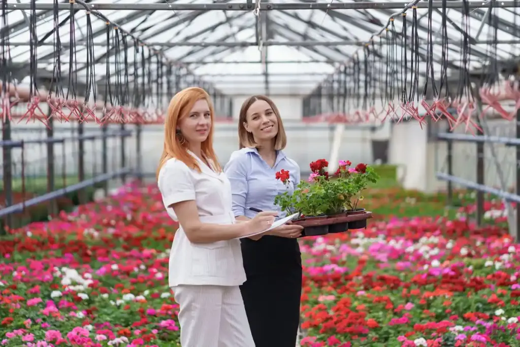 Dutch polycarbonate greenhouse in modern garden