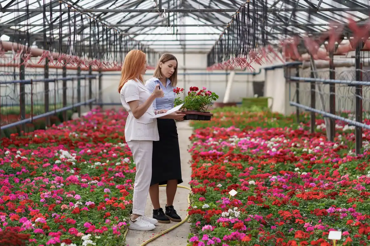Dutch garden greenhouse polycarbonate sustainable