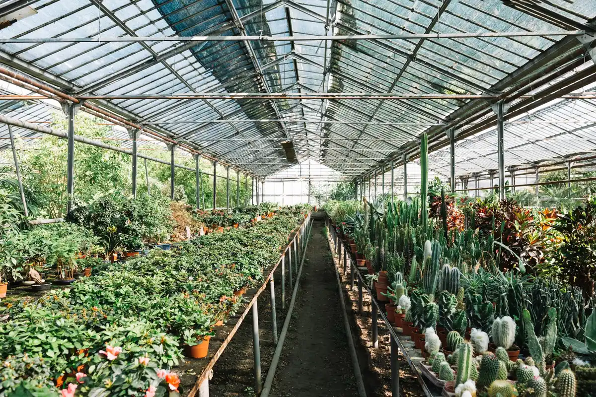 modern Dutch greenhouse polycarbonate gardening