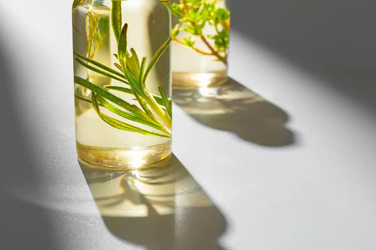 white vinegar plant revival