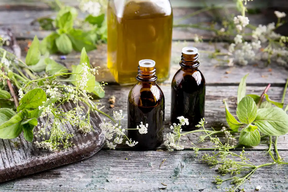 sick plant home remedy vinegar