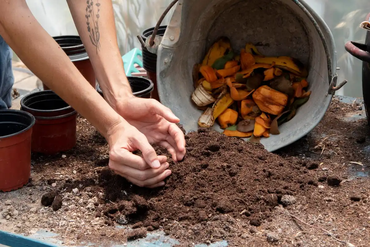 banana peels in garden compost Dutch city backyard