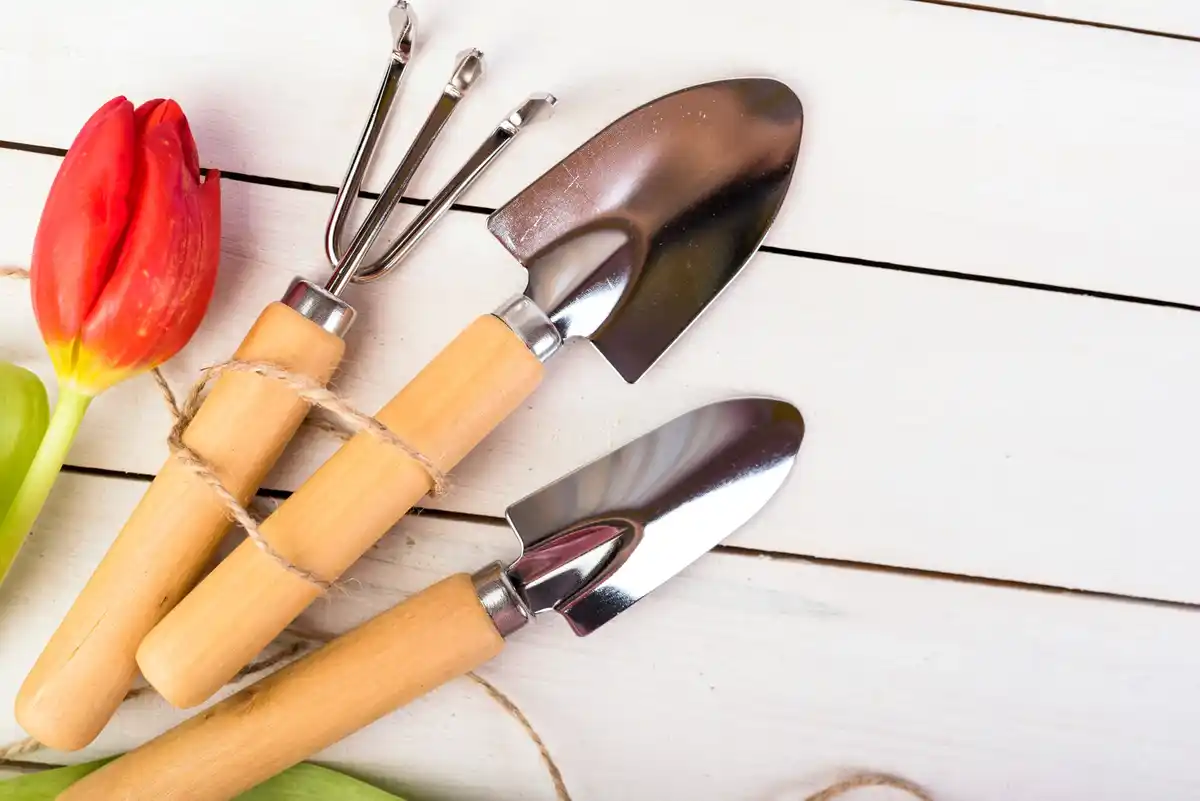 dutch backyard garden tools maintenance