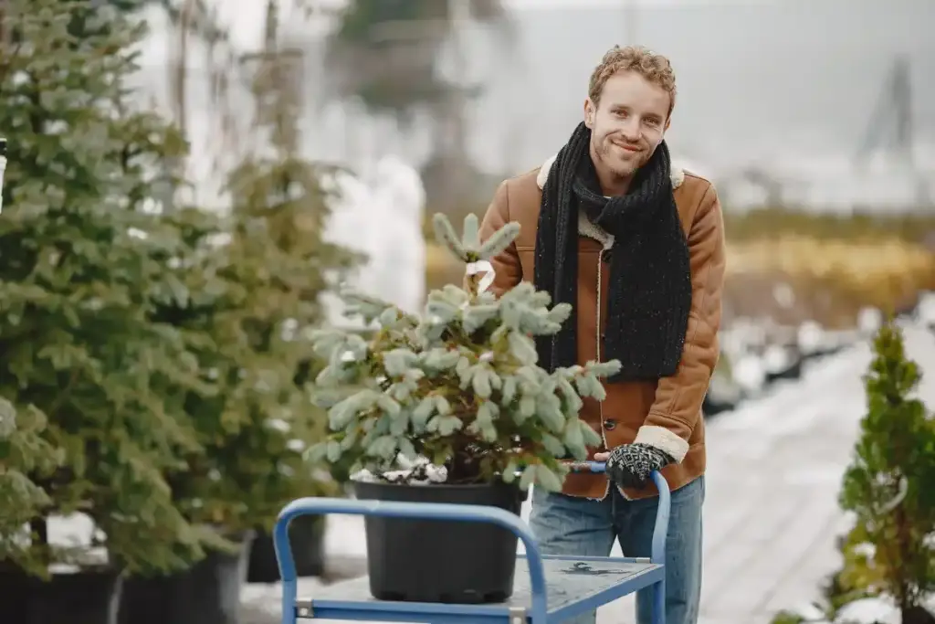 planting flower bulbs in December Dutch garden