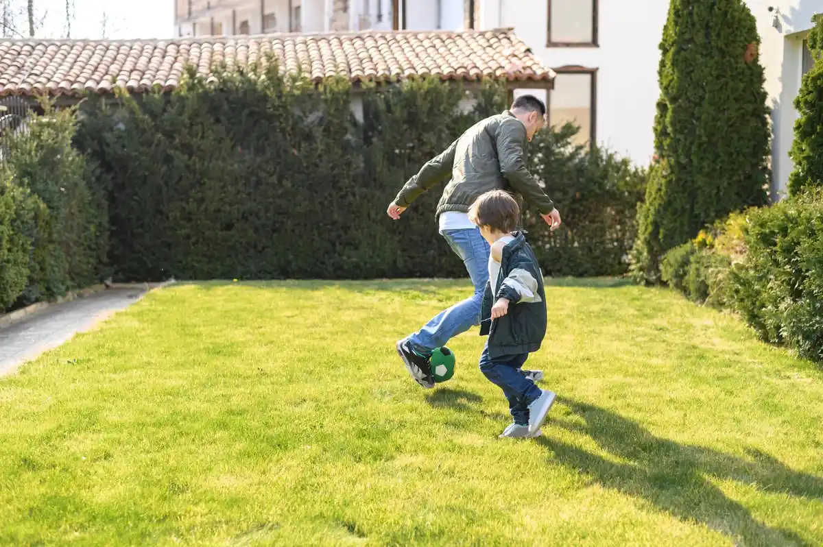 dutch backyard robot versus gardener