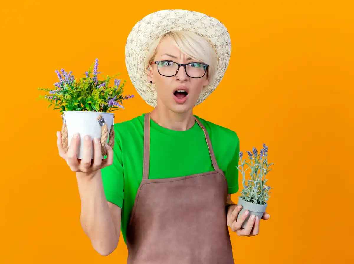 Dutch grandma natural gardening secret homemade fertilizer