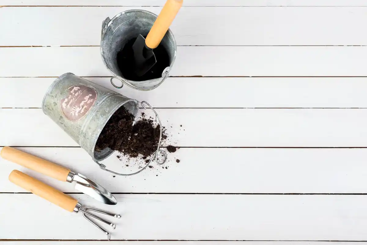homemade natural fertilizer garden eggshells coffee